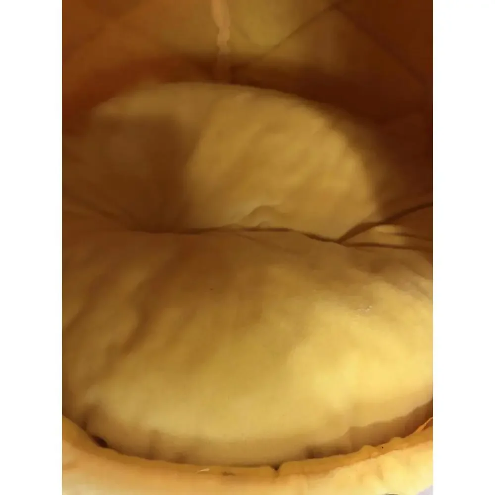 Nandog Pet Gear Yellow Pineapple Pet Cat Dog Bed